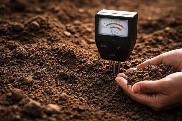 Why Soil Testing is Important Before Construction